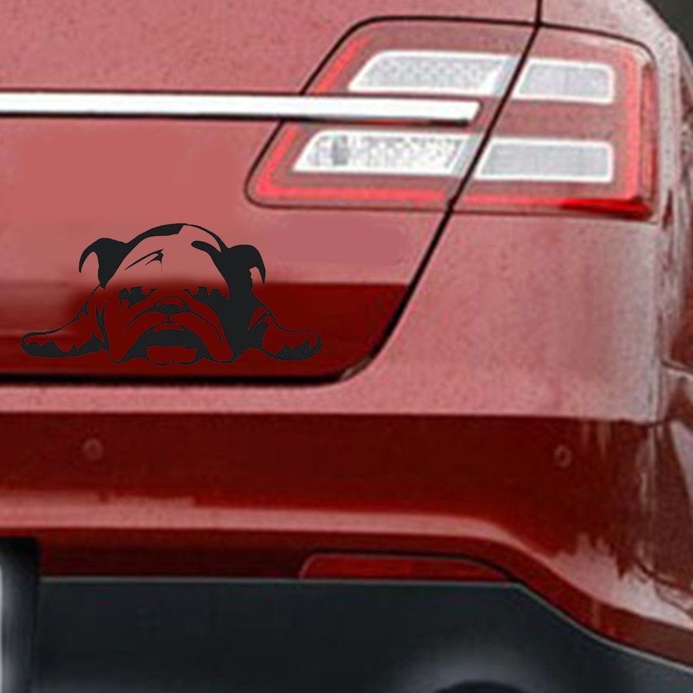 iGi4Shop Bulldog scratch-resistant car stickers