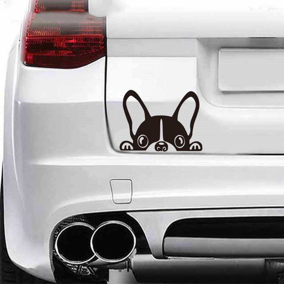 iGi4Shop French bulldog car sticker